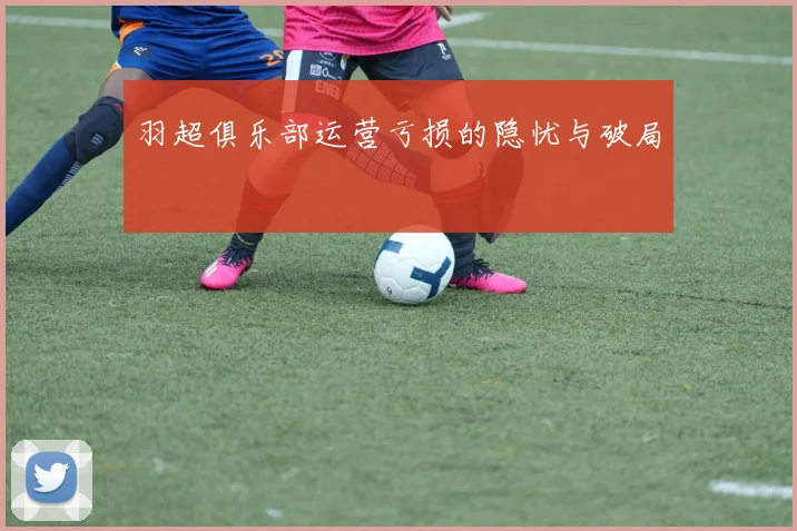 羽超俱乐部运营亏损的隐忧与破局