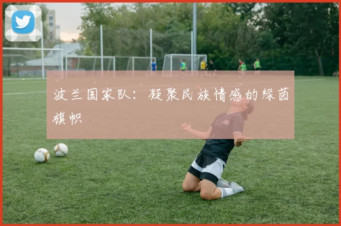 波兰国家队：凝聚民族情感的绿茵旗帜
